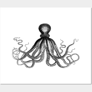 Octopus | Vintage Octopus | Tentacles | Sea Creatures | Nautical | Ocean | Sea | Beach | Black and White | Posters and Art